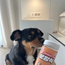 간식먹개 | [반려견 건강 간식 추천] 친환경 원물 사용! 동결건조로 더 담백한 잘먹개할고양 장어트릿간식 솔직 후기