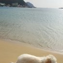 둘레길3코스민박 이미지