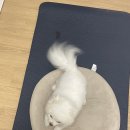 그대와 나 | 함부로 겨눠보던 미래와 웃음 짓던 그대와 나