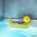러스틱문 이미지