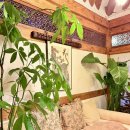 옥천길 | 순천감성숙소 추천 자쿠지와 화목난로로 완성된 모던 한옥펜션 한가로이 힐링 후기