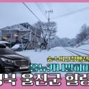 울진 숲속에 산장 펜션 이미지