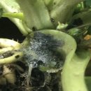 연부농장 이미지