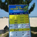 하조대해수욕장 야영장 이미지