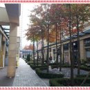 약손본가 이미지