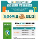 라라코리아(주)