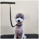 편한미용 이미지