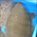 대천수산 이미지