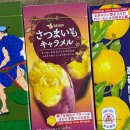 놀부오토 | OSAKASAKA