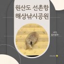 GS25 해상공원점 | 원산해상낚시공원 오천항 선촌항 배시간표 (25년9월)