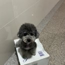 은미장원 이미지