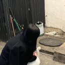 경성대학교 누리생활관 이미지