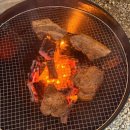 버드나무자동차공업사 | [허밍버드] 몸만 가도 되는 양주 캠핑장 당일치기 바베큐장 내돈내산 후기!