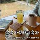 유유자적 | 남해카페 유유자적카페유자 솔직 후기