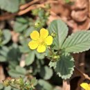 원당약수터 이미지