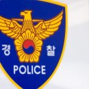 대원합기도 이미지