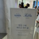 창앤리빙 | 용산아이파크몰 당일 케이크 비포블루밍 앤 롤시엘 망고케이크 미니 후기!