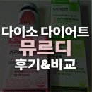 뮤르디 4개월 복용후기! 다이소 다이어트 건강기능식품 비교해보니?