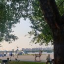 광장음악회 | 여의도 물빛광장 물놀이장 &amp; 서울시향 강변음악회 후기