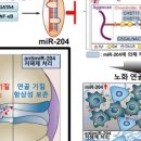 플러스테크 이미지