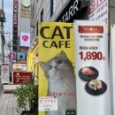 히히냥냥 이미지