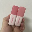 컬러그램 누디블러틴트 17. 이븐피치, 18. 베리몰리 발색 후기