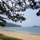 완도 정든 펜션 | 지리청송해변 근처 정 많은 청산도 게스트하우스
