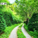 장신리유원지 이미지