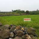 새자연공인중개사사무소 이미지
