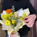 땅트플레르
