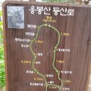 제641차 삼척 응봉산 100대 명산 산행 (8/25 네째 일요일) 이미지