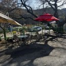 느티나무길 | 장태산 맛집 “느티나무집” 솔직후기