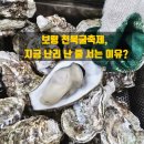 천북집 | [보령 천수만 겨울 미식여행] 2025 천북굴축제 기간 굴찜 가격 천북굴단지 우리집굴수산 맛집 추천!