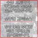 마그네트휠