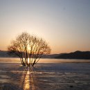 무한천어죽 이미지