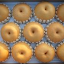 성환 농장 이미지