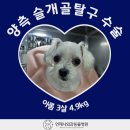 언제나동물병원 이미지