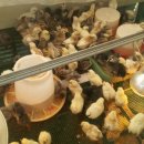 바람골농장 이미지