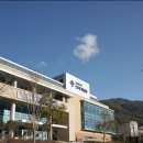 유엠컨설팅 이미지