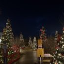 씨유전주하가빌리지점 | 전주 근교 크리스마스 카페 김제 오늘 여기 다녀왔습니다.(내돈내산 솔직후기)