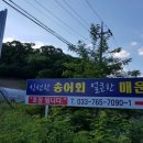 버들치송어장횟집