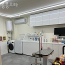 몽몽스타 이미지