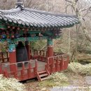 존자암지 이미지