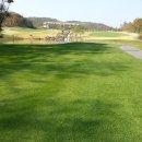 웰링턴컨트리클럽 이미지