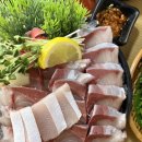 [노량진 가성비 횟집] 내돈내산 겨울별미 노량진 대방어 맛집 노량해전