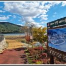 대가연꽃테마공원 이미지