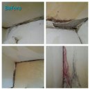 경희환경 이미지