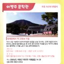 경북 하동 당일치기 가볼만한곳 꽃양귀비축제 후기