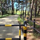 월송정매점 이미지