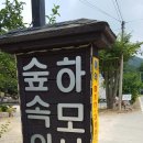 하모니민박 이미지